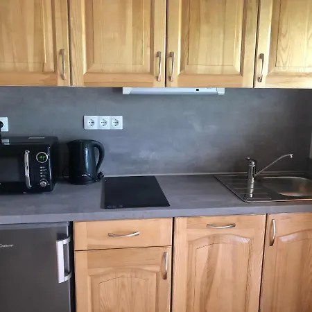 Savinja Apartman *