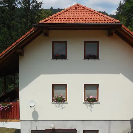 Apartman Savinja Luče
