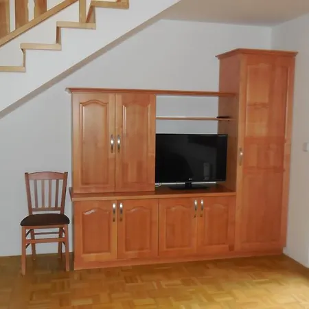 Apartment Savinja *