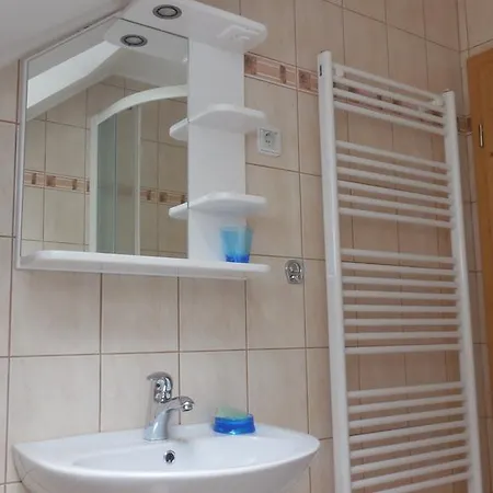Apartment Savinja *