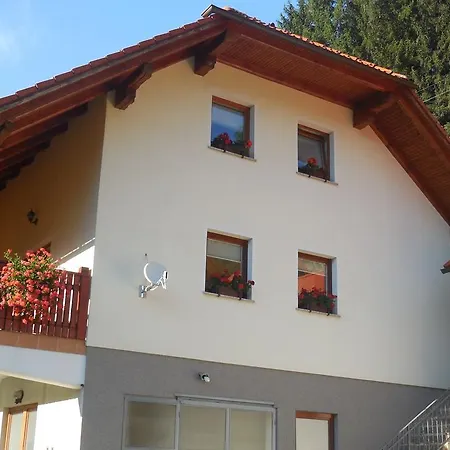 Apartment Savinja *