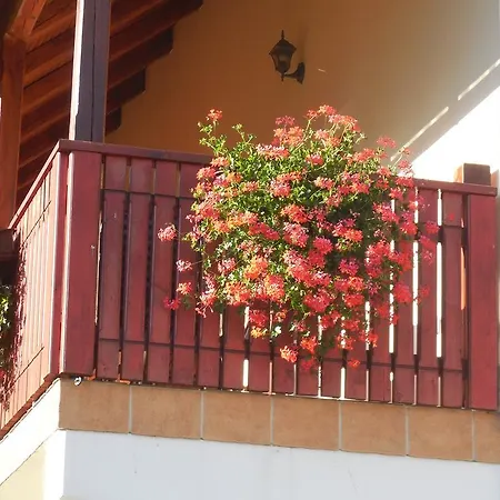 Savinja Apartman Luče