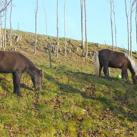 아파트 Savinja Luče