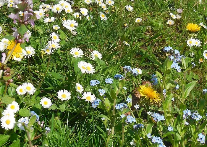 Διαμέρισμα Savinja