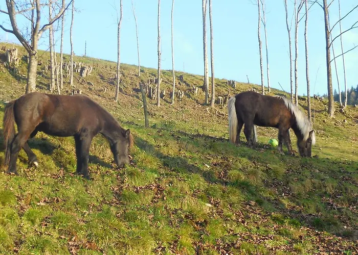 Διαμέρισμα Savinja Luče